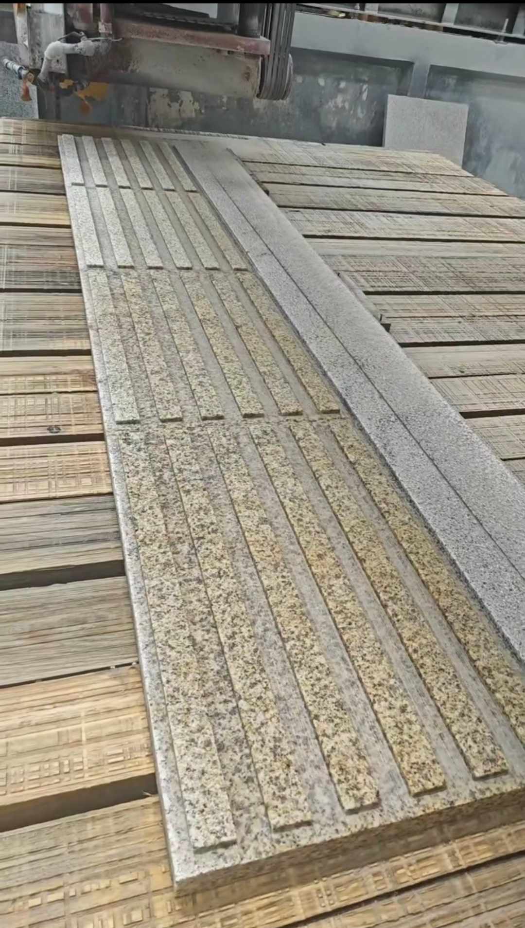 北海黄金麻盲道石 盲条